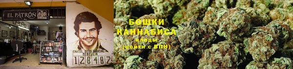 марки lsd Бородино